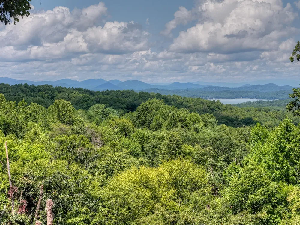 418 Lakeview Drive Blue Ridge, GA 30513