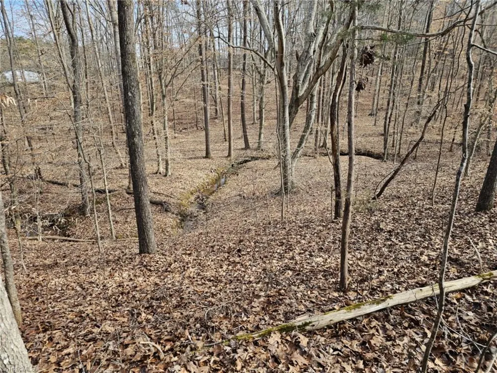 280 Clara Hill Lane Lexington, NC 27292