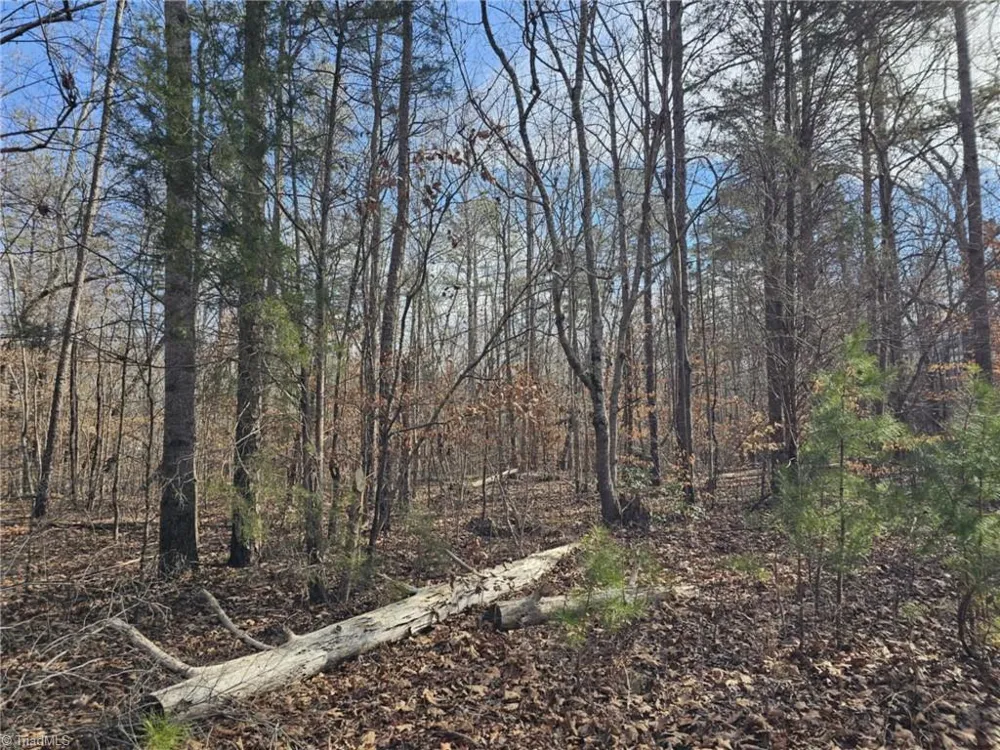 280 Clara Hill Lane Lexington, NC 27292