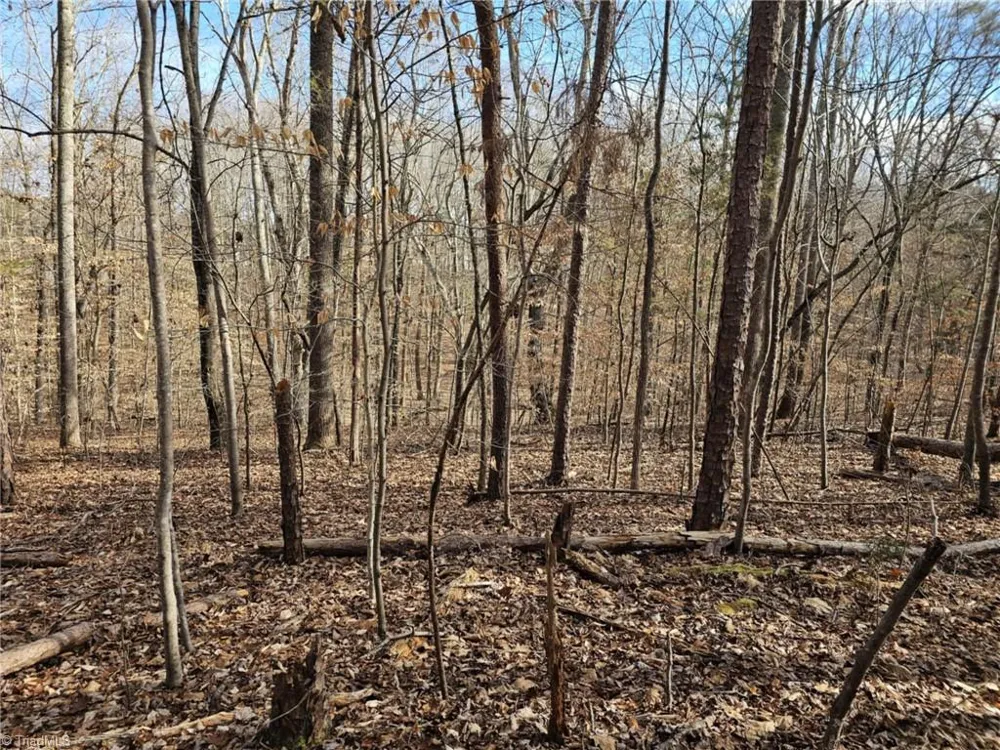 280 Clara Hill Lane Lexington, NC 27292