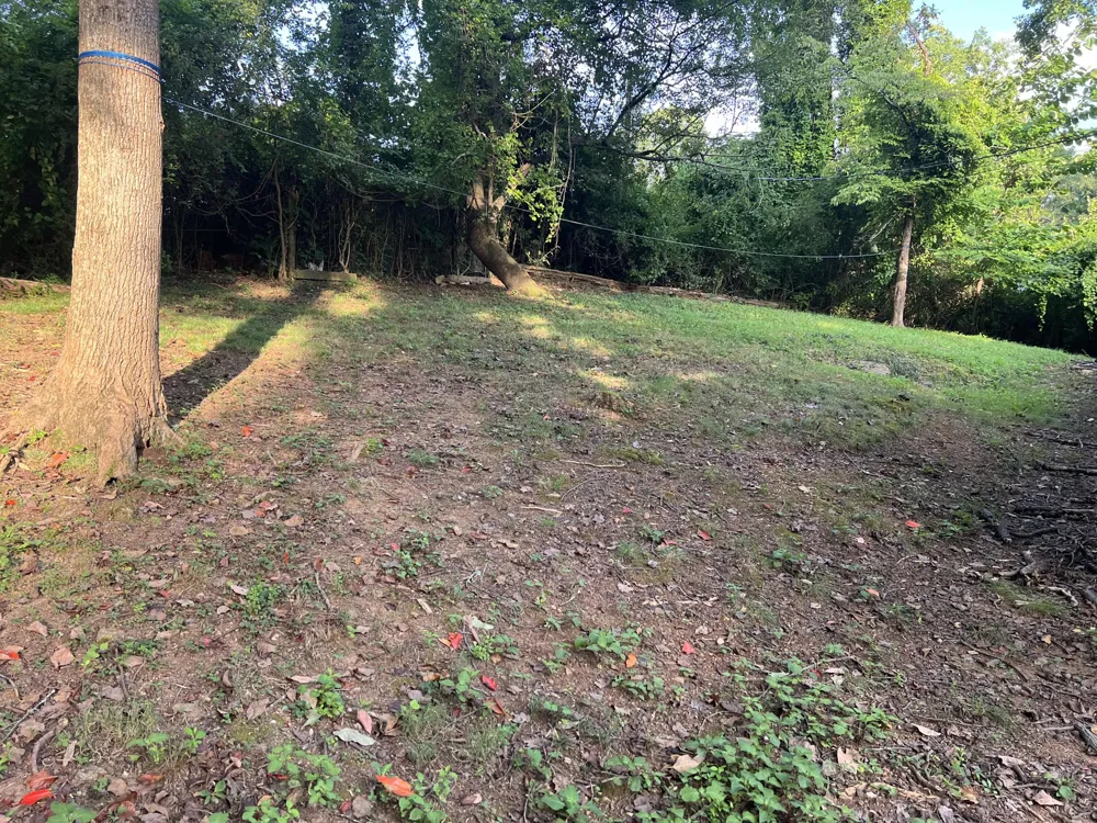 6828 Buck Trail Drive Harrison, TN 37341