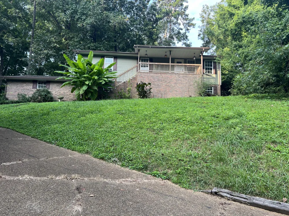 6828 Buck Trail Drive Harrison, TN 37341