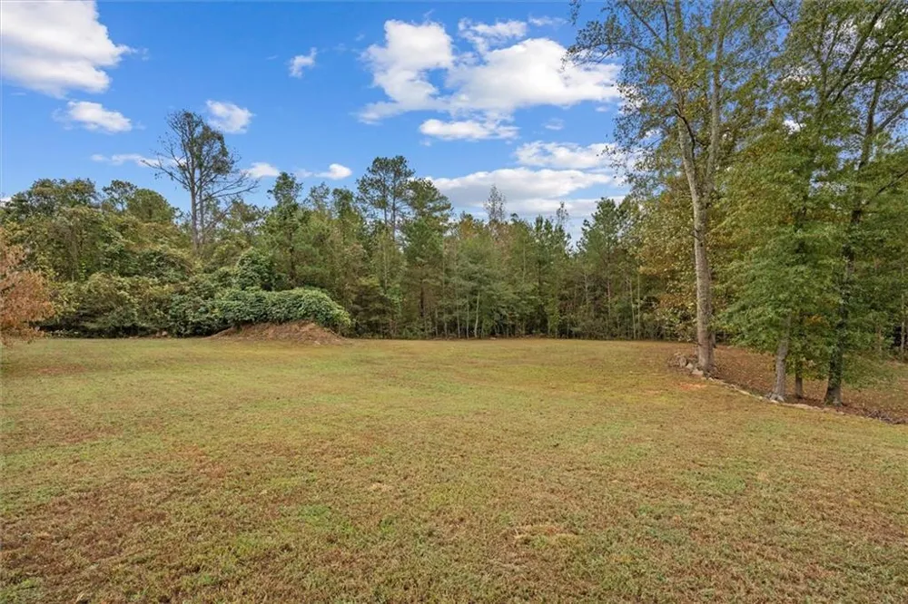 1003 Milligan Creek Road Roopville, GA 30170