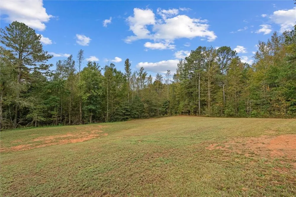 1003 Milligan Creek Road Roopville, GA 30170