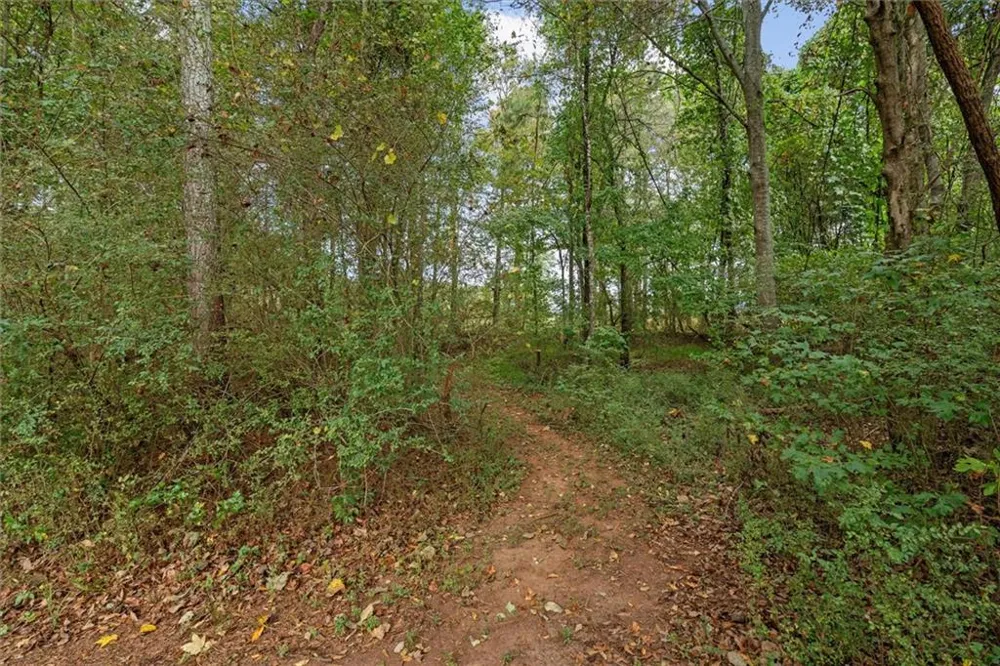 1003 Milligan Creek Road Roopville, GA 30170