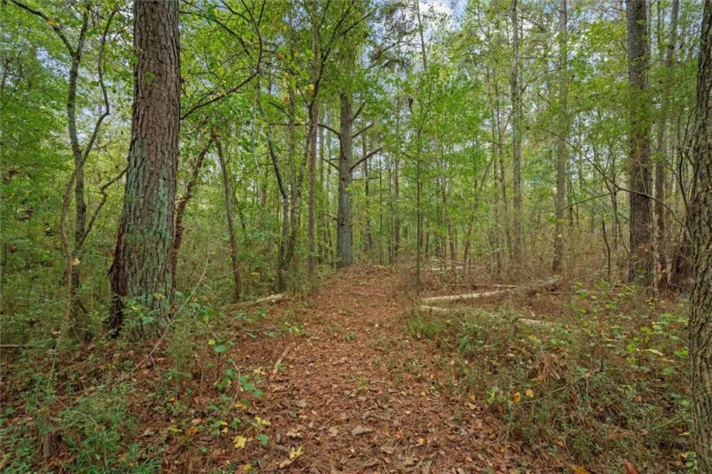 1003 Milligan Creek Road Roopville, GA 30170