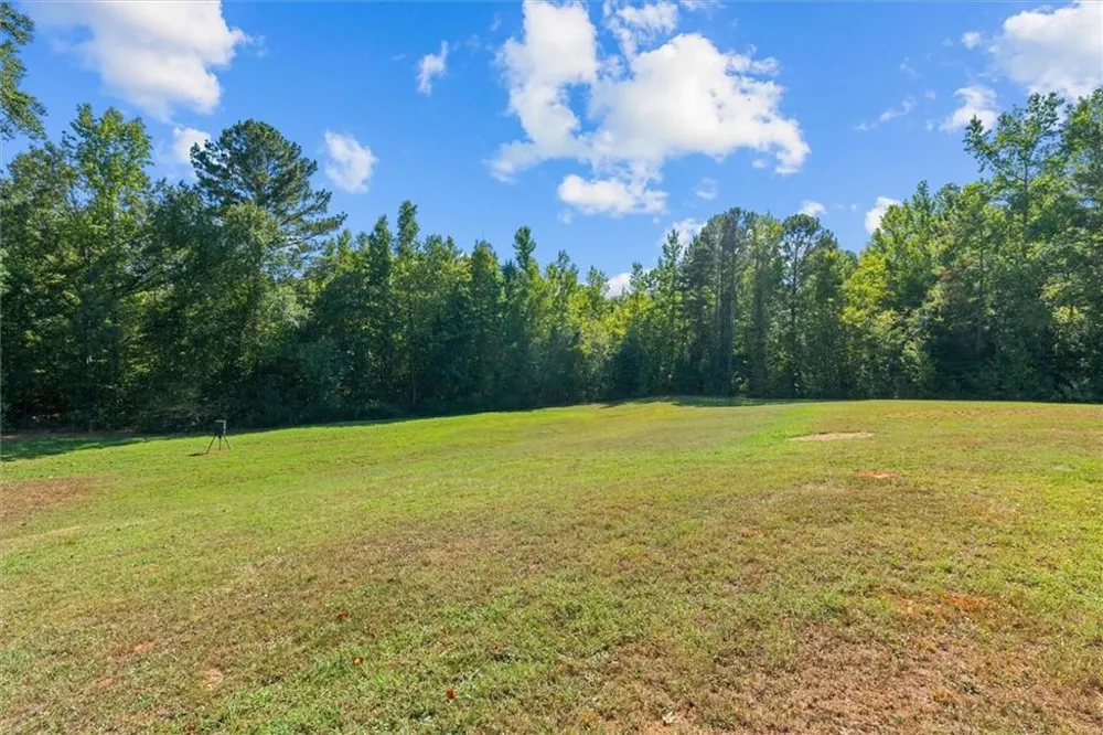 1003 Milligan Creek Road Roopville, GA 30170