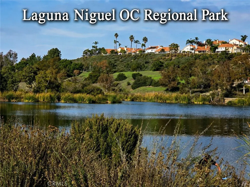 24364 Hilton Way Laguna Niguel, CA 92677