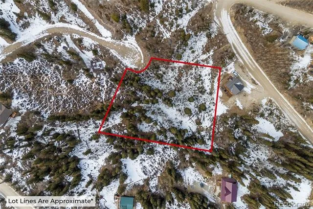 131 Aspen Street Alma, CO 80420
