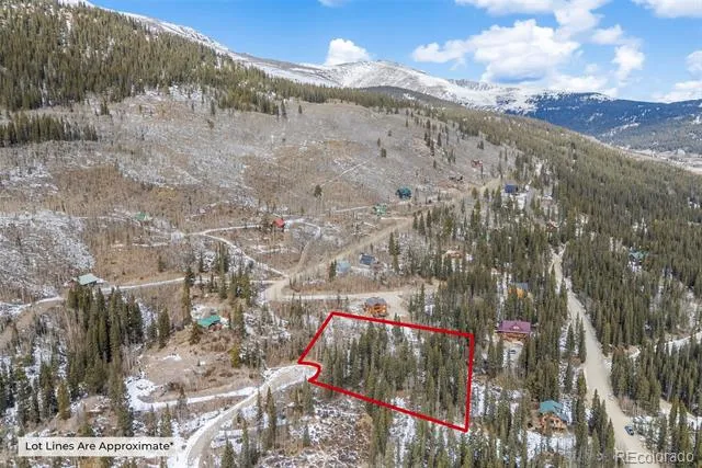 131 Aspen Street Alma, CO 80420