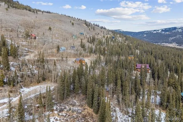 131 Aspen Street Alma, CO 80420