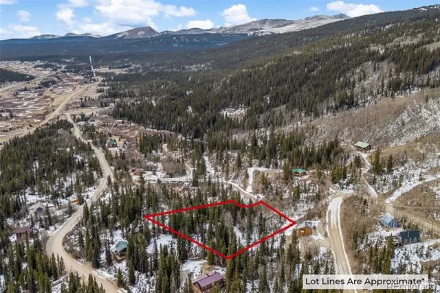 131 Aspen Street Alma, CO 80420