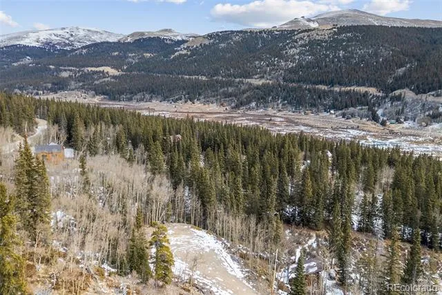 131 Aspen Street Alma, CO 80420