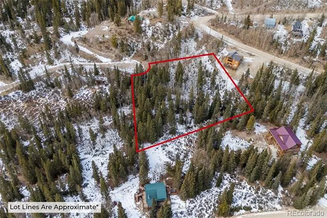 131 Aspen Street Alma, CO 80420
