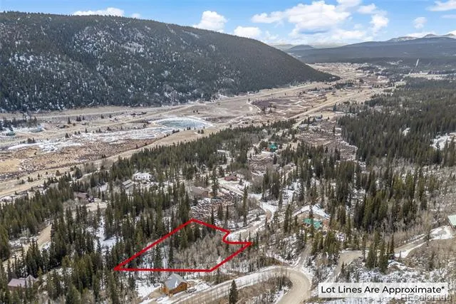 131 Aspen Street Alma, CO 80420