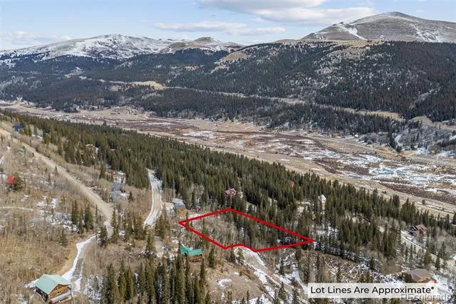 131 Aspen Street Alma, CO 80420