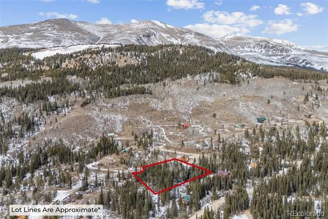 131 Aspen Street Alma, CO 80420