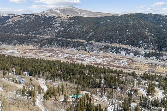 131 Aspen Street Alma, CO 80420