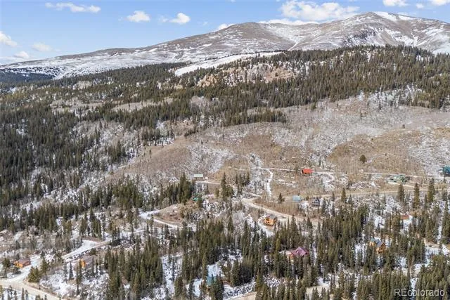 131 Aspen Street Alma, CO 80420