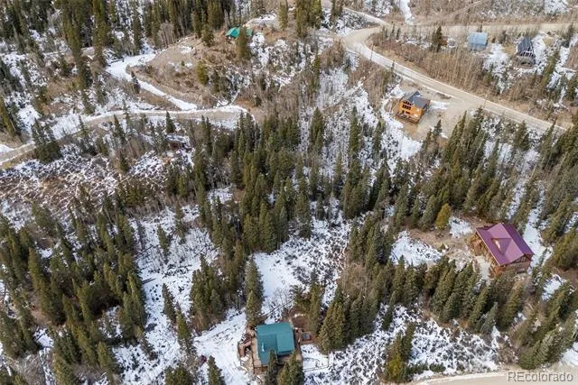 131 Aspen Street Alma, CO 80420
