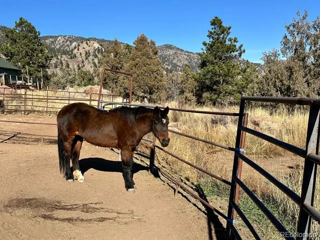 123 Mohawk Road Lyons, CO 80540