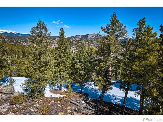 815 Cougar Run Nederland, CO 80466