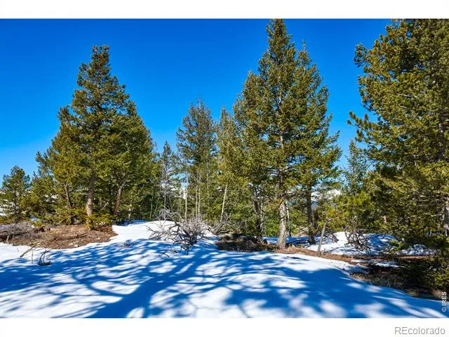 815 Cougar Run Nederland, CO 80466