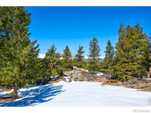 815 Cougar Run Nederland, CO 80466