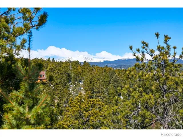 815 Cougar Run Nederland, CO 80466