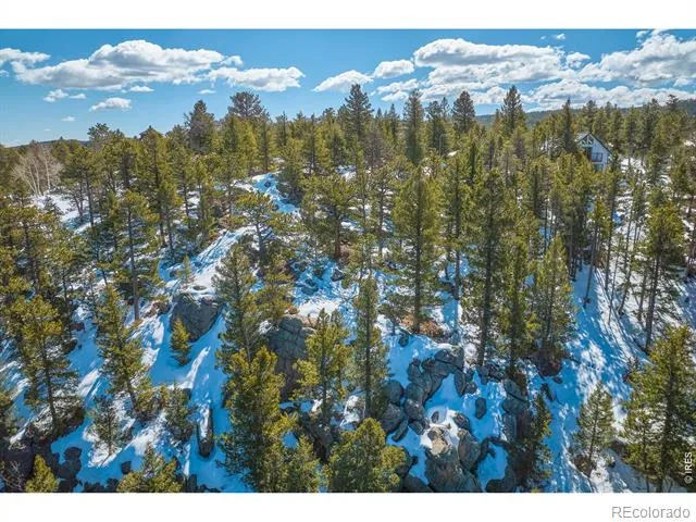 815 Cougar Run Nederland, CO 80466