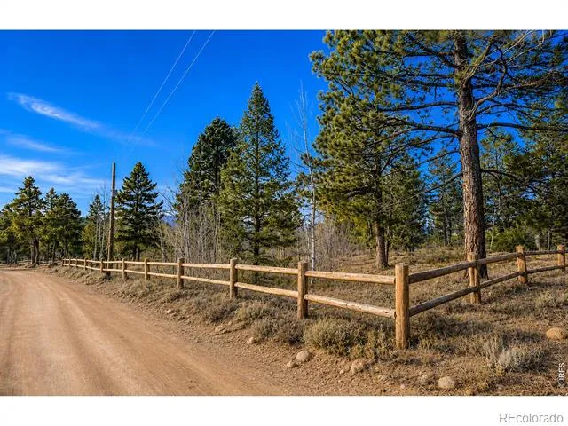 815 Cougar Run Nederland, CO 80466