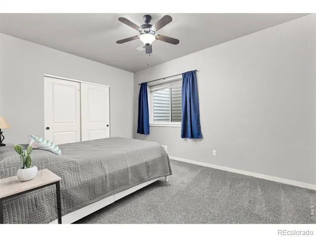 254 S Tamera Avenue Milliken, CO 80543