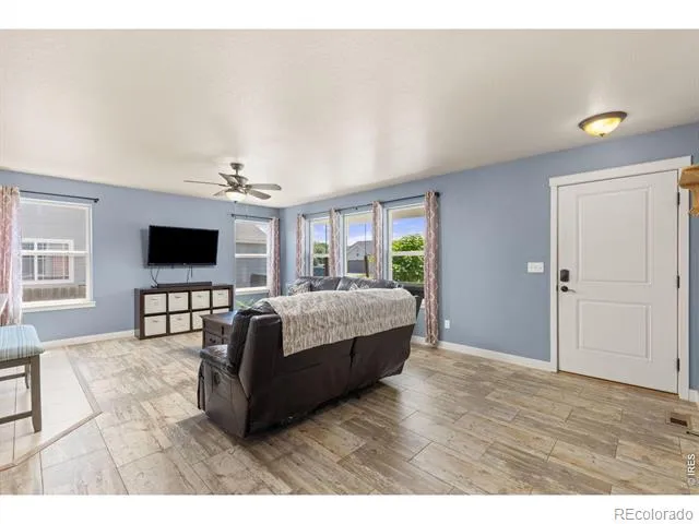 254 S Tamera Avenue Milliken, CO 80543