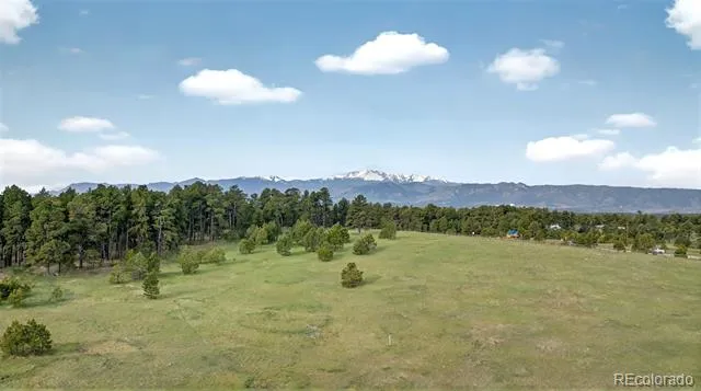 3930 Serenity Place Colorado Springs, CO 80908