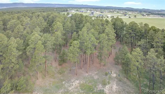 3930 Serenity Place Colorado Springs, CO 80908