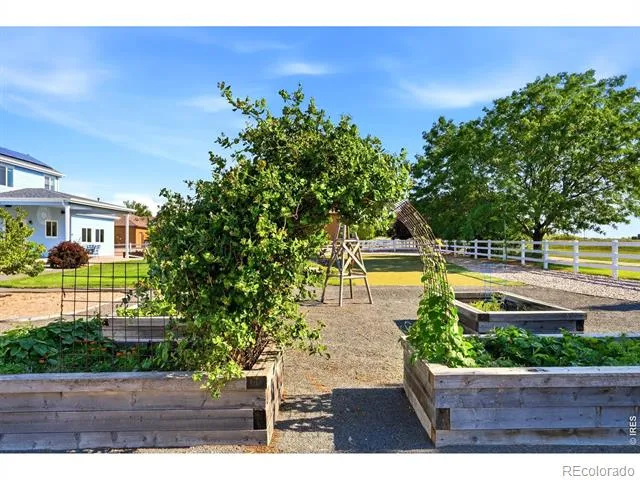 5035 Peregrine Road Dacono, CO 80514