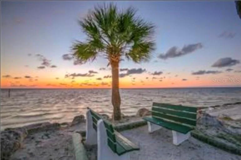 5111 AMULET DRIVE #102 New Port Richey, FL 34652