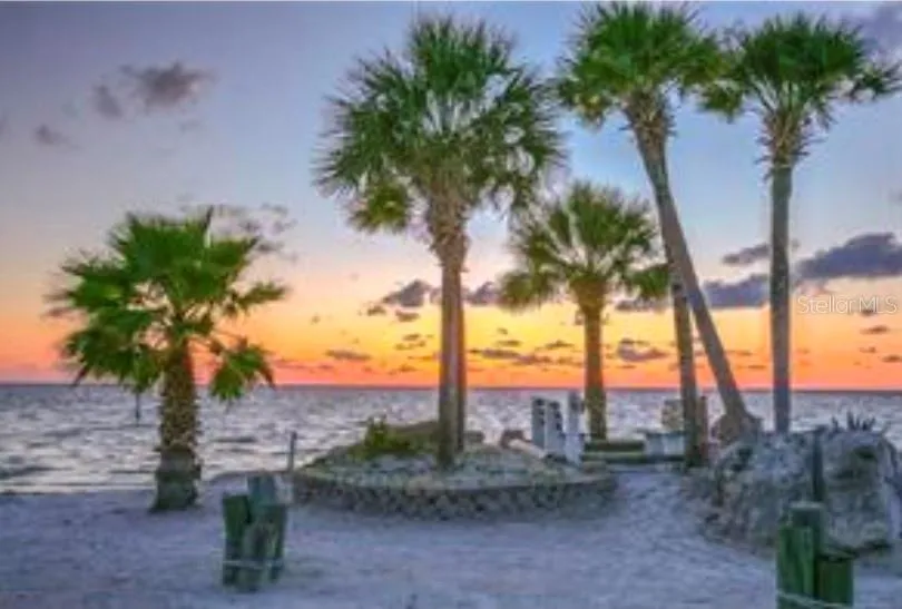 5111 AMULET DRIVE #102 New Port Richey, FL 34652
