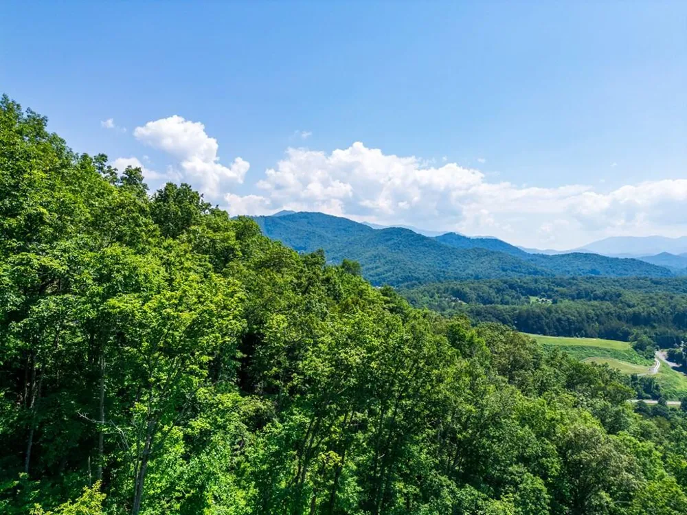 White Falcon Dr Sylva, NC 28779