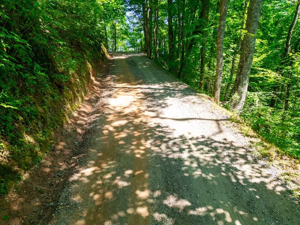 White Falcon Dr Sylva, NC 28779