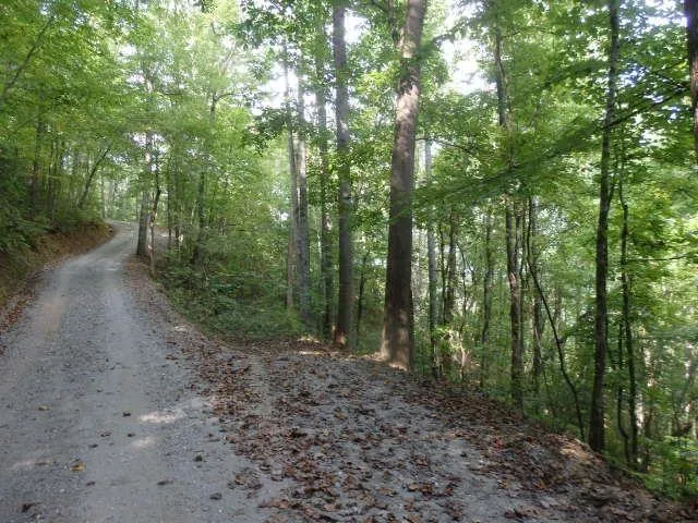 White Falcon Dr Sylva, NC 28779