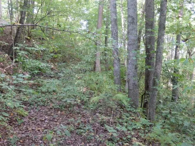White Falcon Dr Sylva, NC 28779