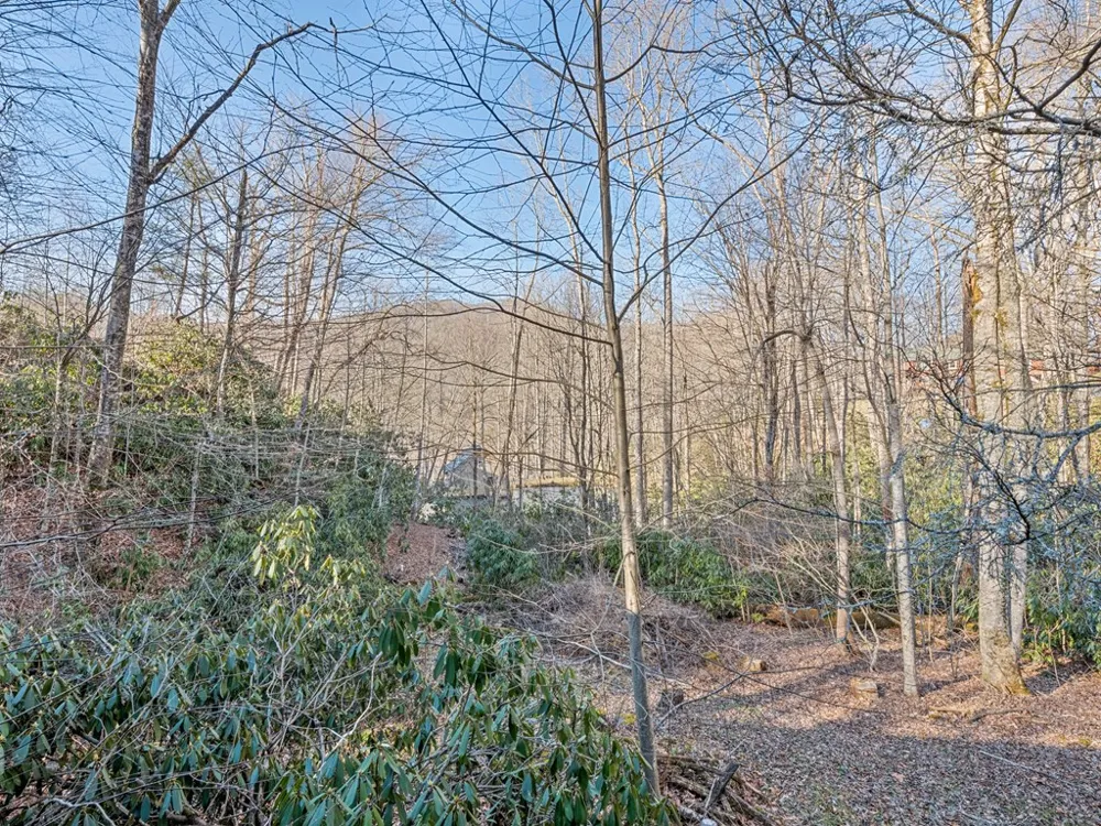 Mulberry Maggie Valley, NC 28751