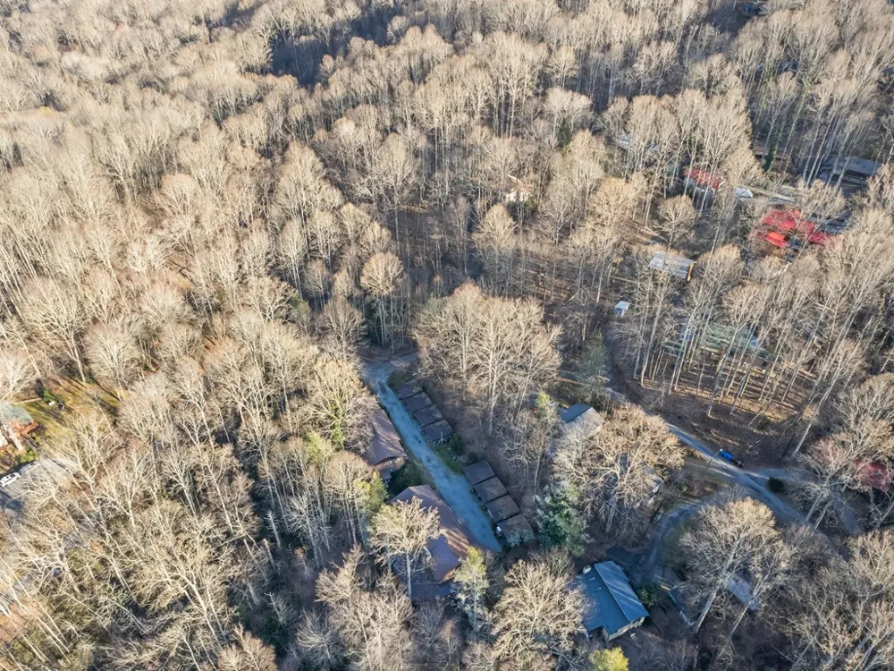 Mulberry Maggie Valley, NC 28751