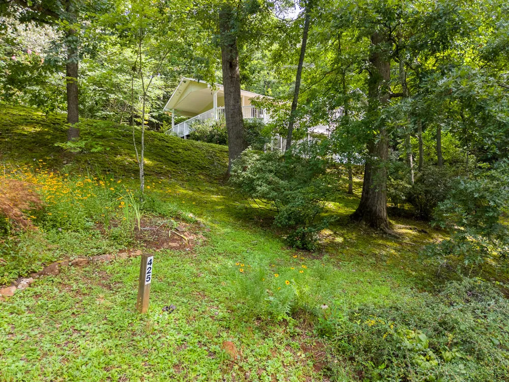 HOLLY TERRACE RD Franklin, NC 28734