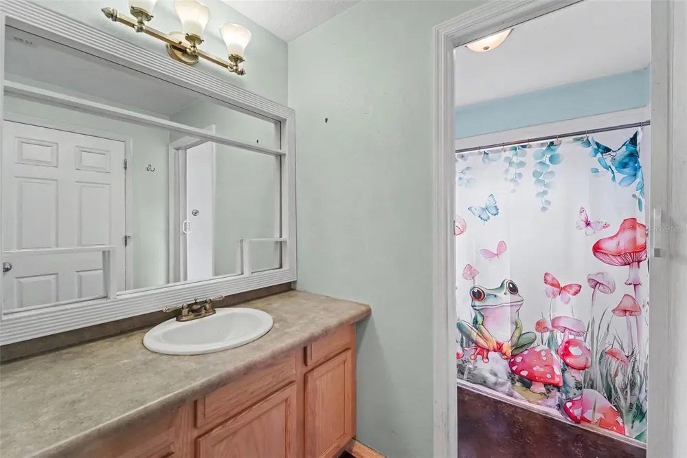 7295 CENTERWOOD AVENUE Spring Hill, FL 34606
