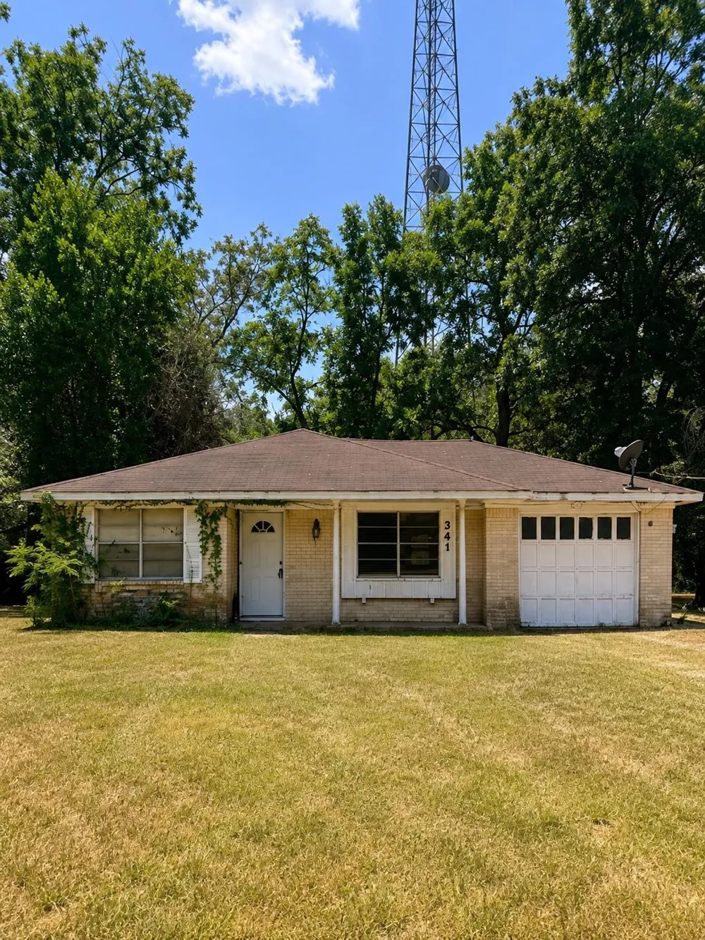 341 Myrtie Drive Shepherd, TX 77371