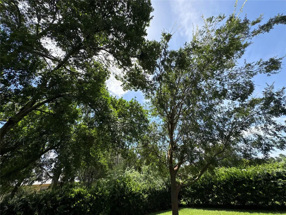 3123 MAIDENCANE DRIVE Beverly Hills, FL 34465