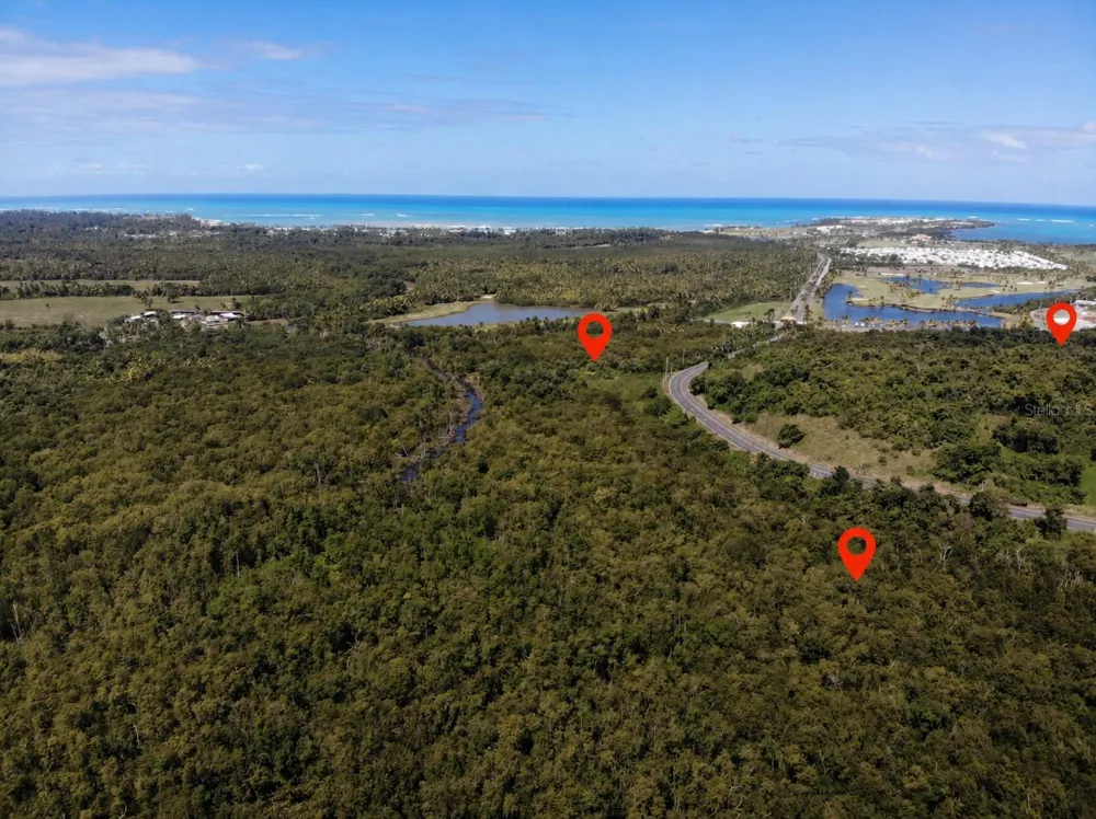 CARR. 955 Rio Grande, PR 00745