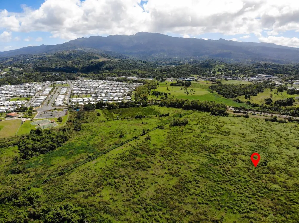 CARR. 955 Rio Grande, PR 00745